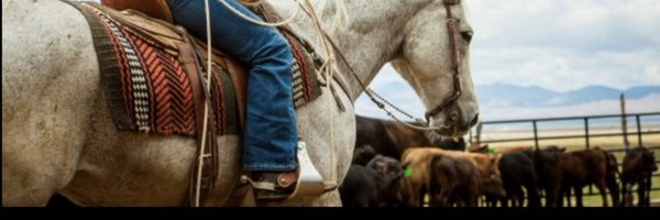 marabrack40 Profile Banner