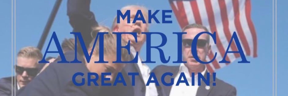 Minnesota Lady America First🇺🇸's banner