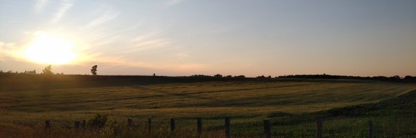modernfarmer Profile Banner