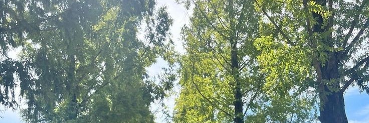 l🅰️na²⁵ banner