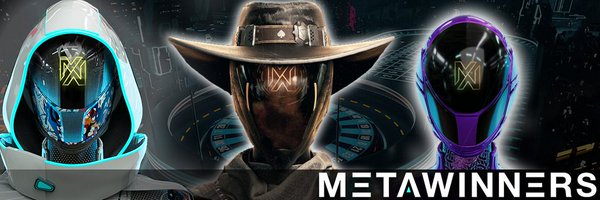 MetaWinMadness Profile Banner