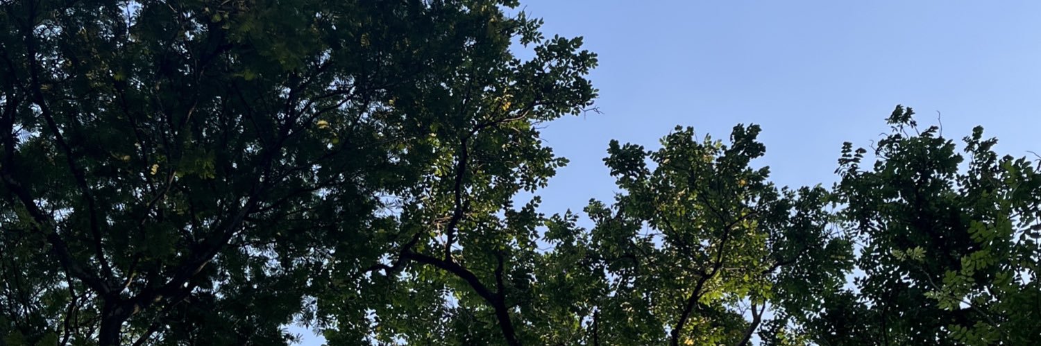 hotpeachtea_'s profile banner image