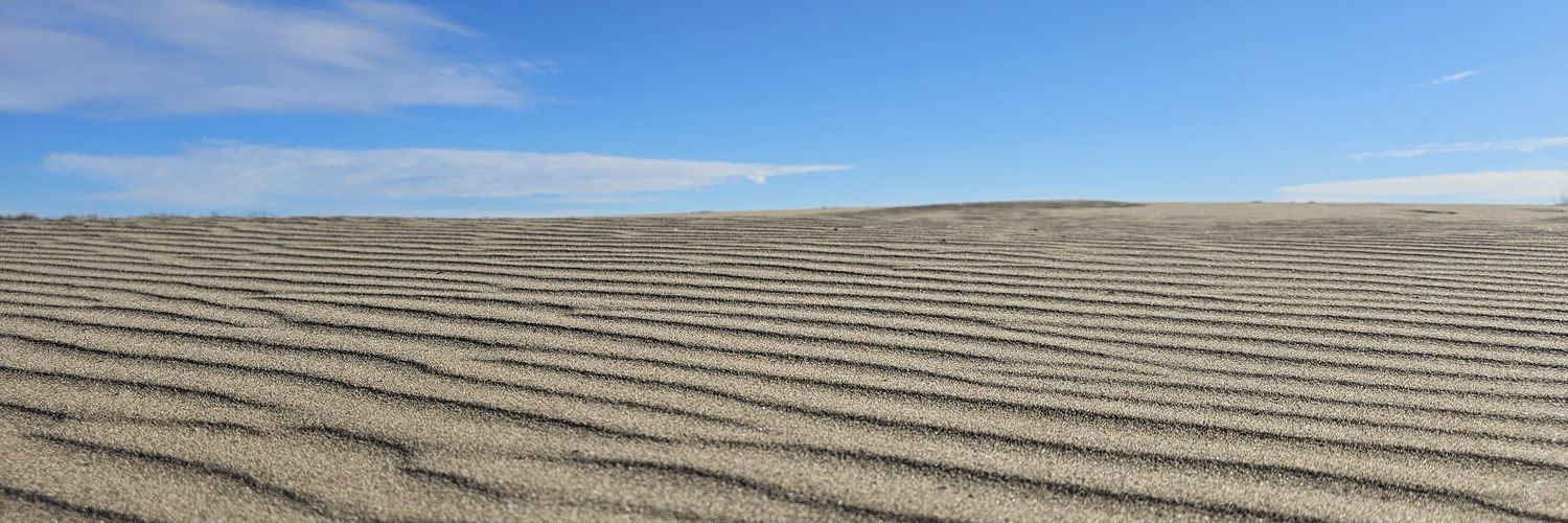 Julio Squabbles banner