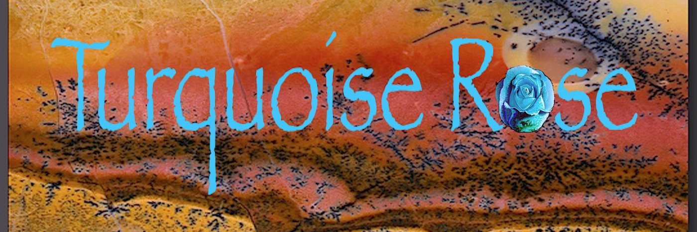 Turquoise_Rose's profile banner image