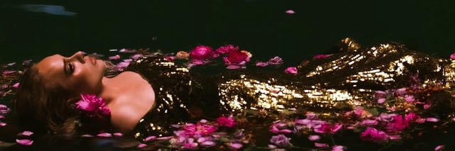 Godele banner