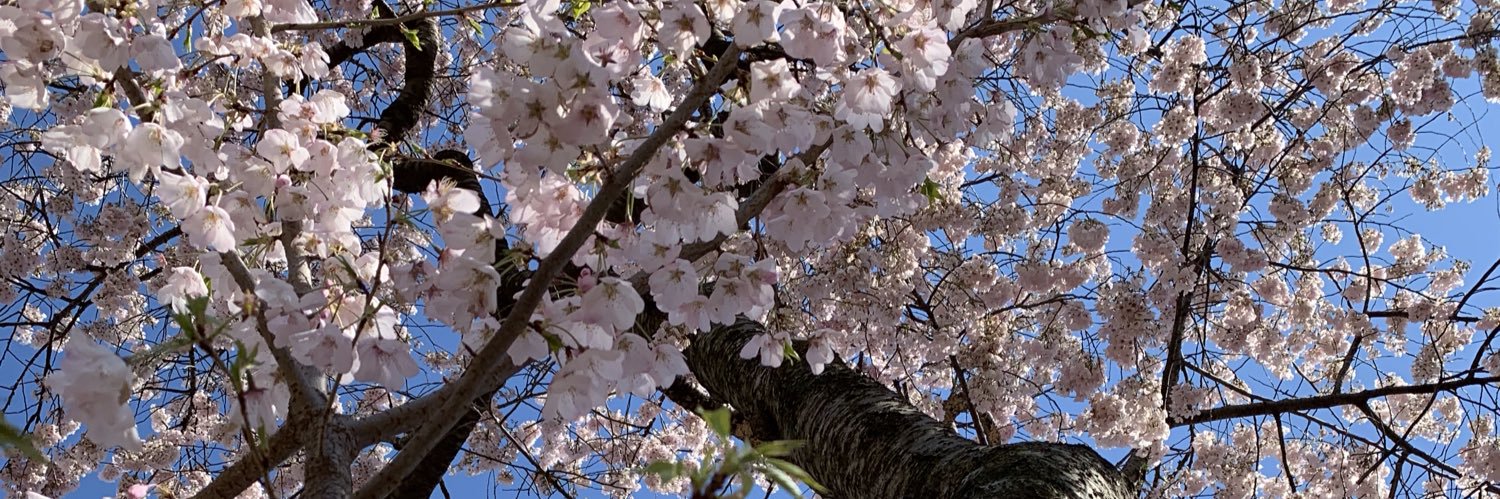 KellyKaras's profile banner image