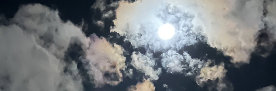 綿谷衛's banner