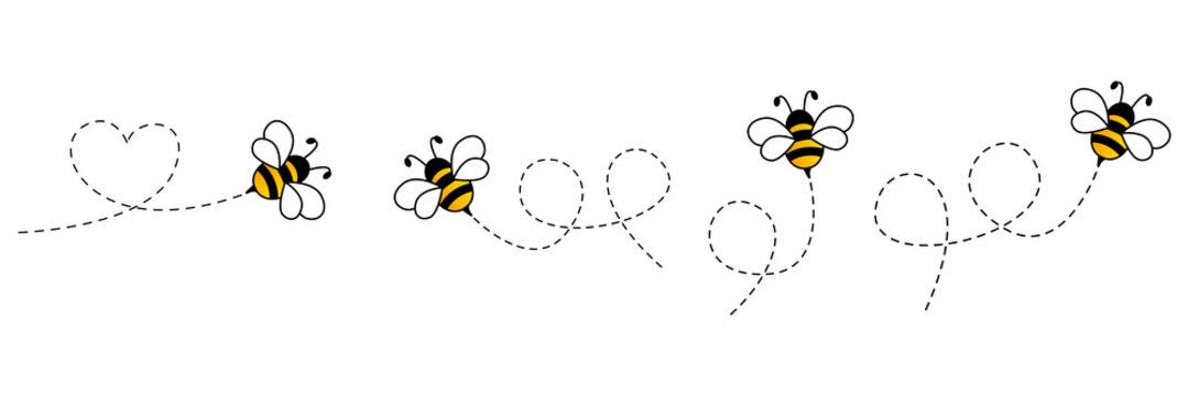 🐝 bee banner