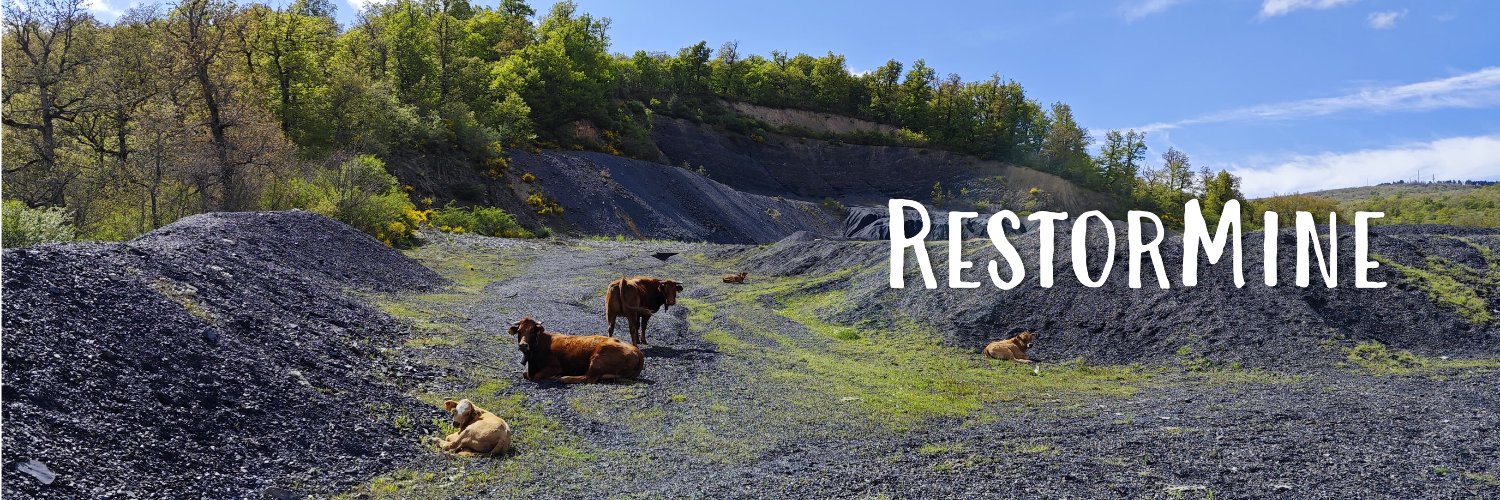 RestorMine banner