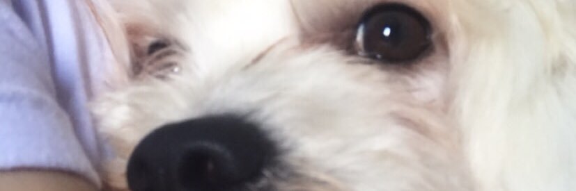 nallyanaa's profile banner image