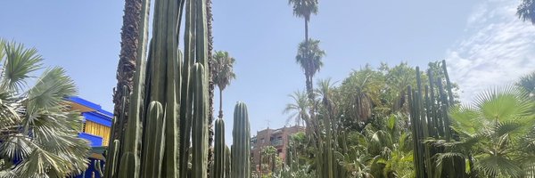 JohannEdjimbiMD Profile Banner