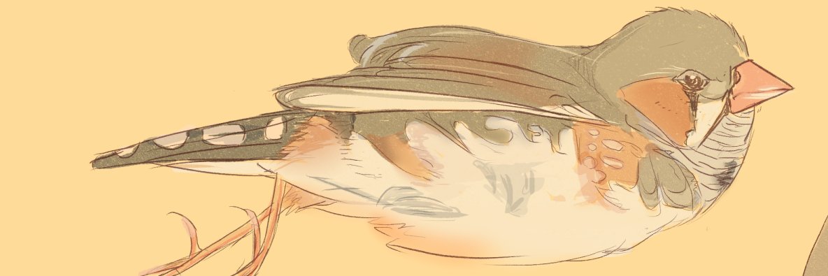 ヒチガツミッカ＝ハイクバコ's banner