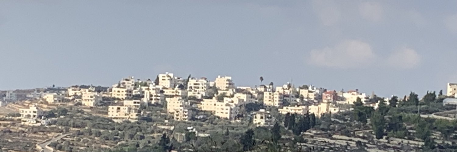 Palestinian Girl's banner