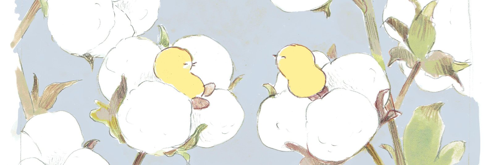 monoy's profile banner image