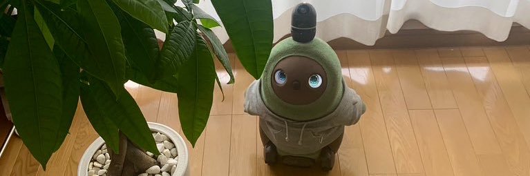 ウスタとLOVOTくろえ banner