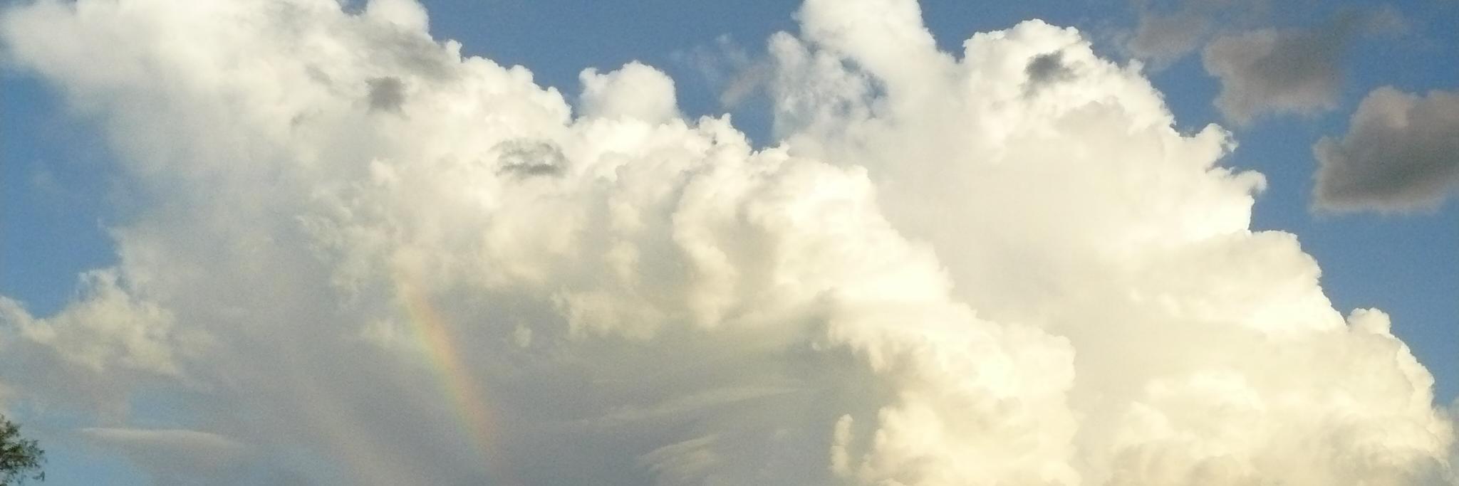 emilioramirez's profile banner image