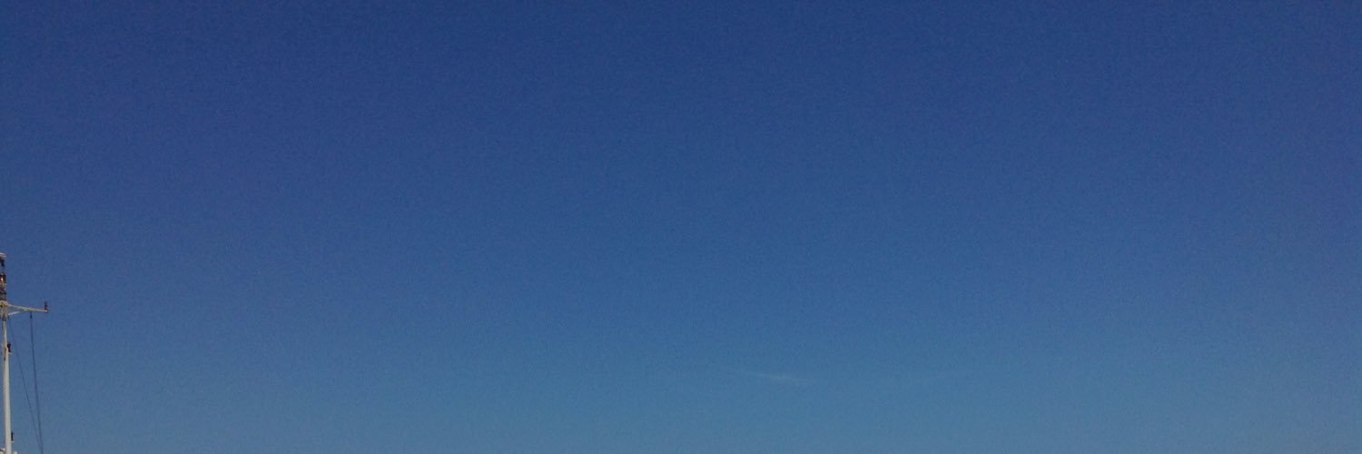 puesclaro's profile banner image