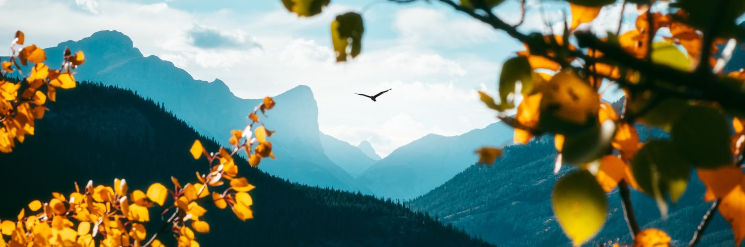 JimenezzVi's profile banner image