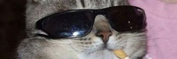 DotDandy Profile Banner