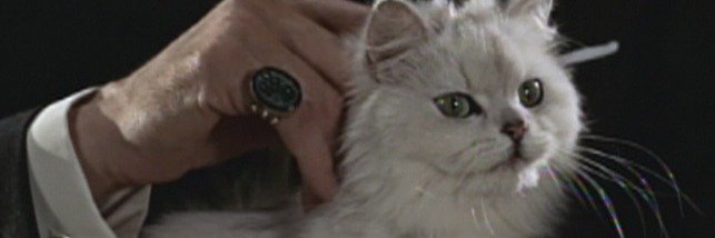 Blofeld's Cat sees all, hears all, keeps mum banner