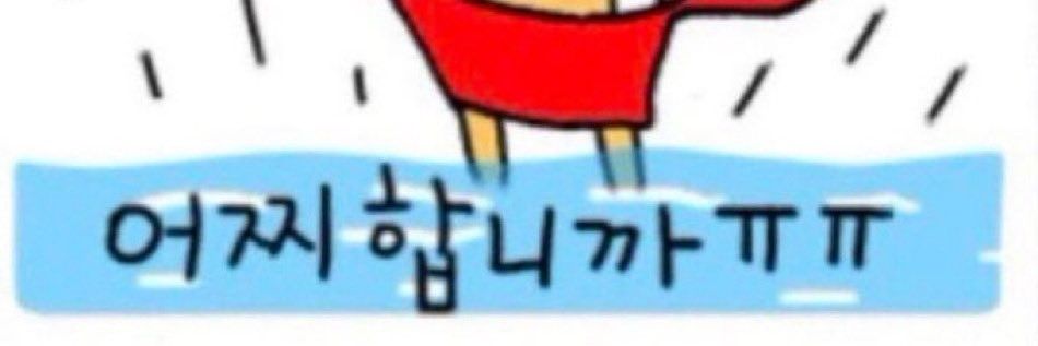 따식이 banner