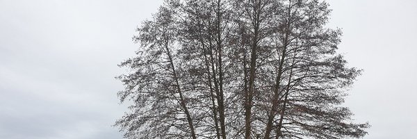 cocokrypt Profile Banner