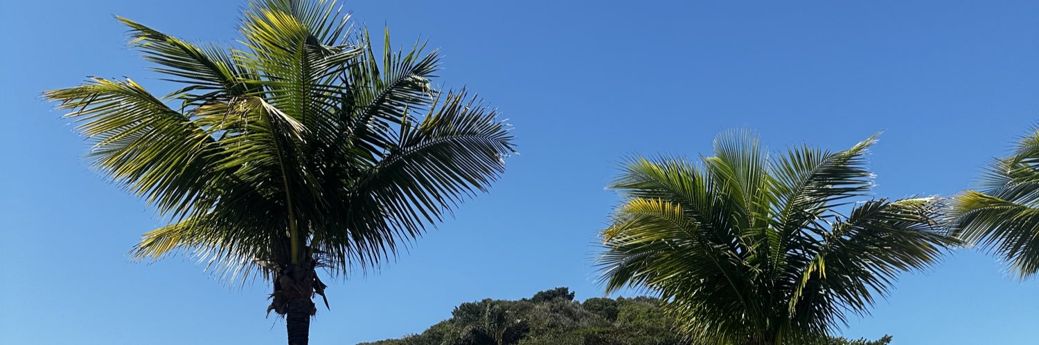 AndreaaOko's profile banner image