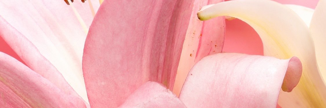 cwrujd's profile banner image