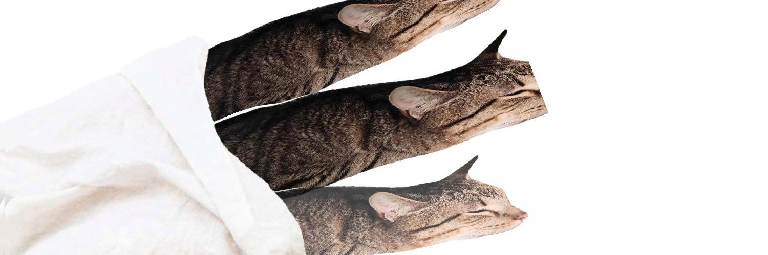 w0rrior_cs banner