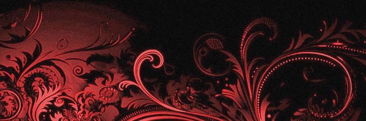 quinn banner