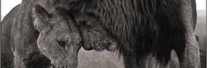 Roxxy_Ro's profile banner image