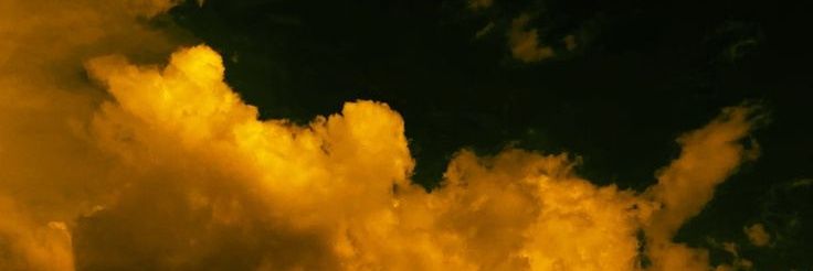 luiluiluiluiluilui banner
