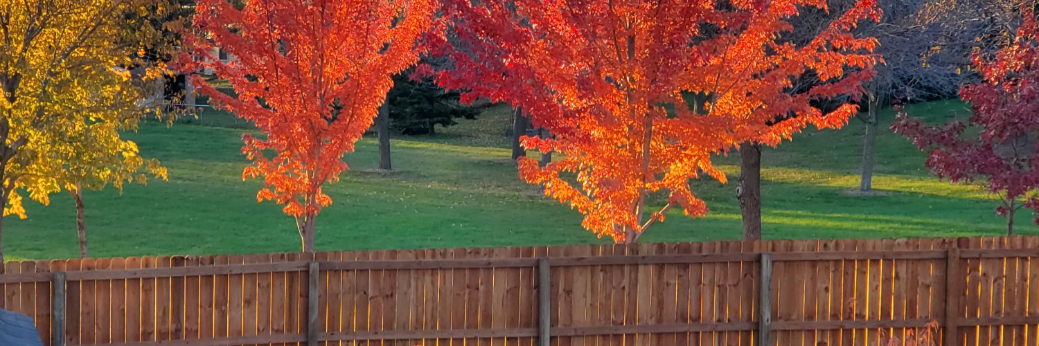 Trump supporter banner