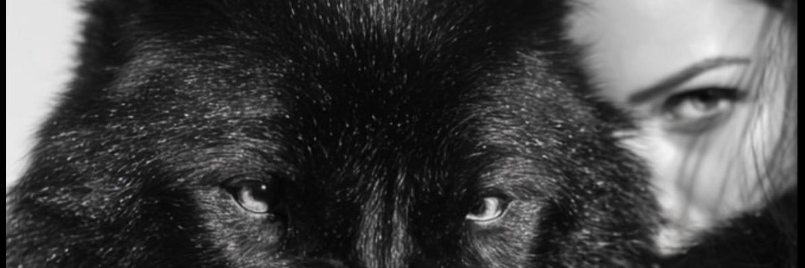 Sudemafk's profile banner image