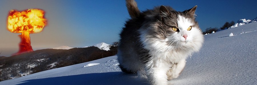 LeonY1_2's profile banner image