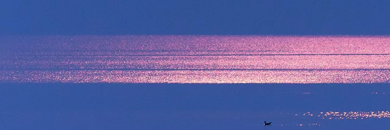 thx1024770's profile banner image
