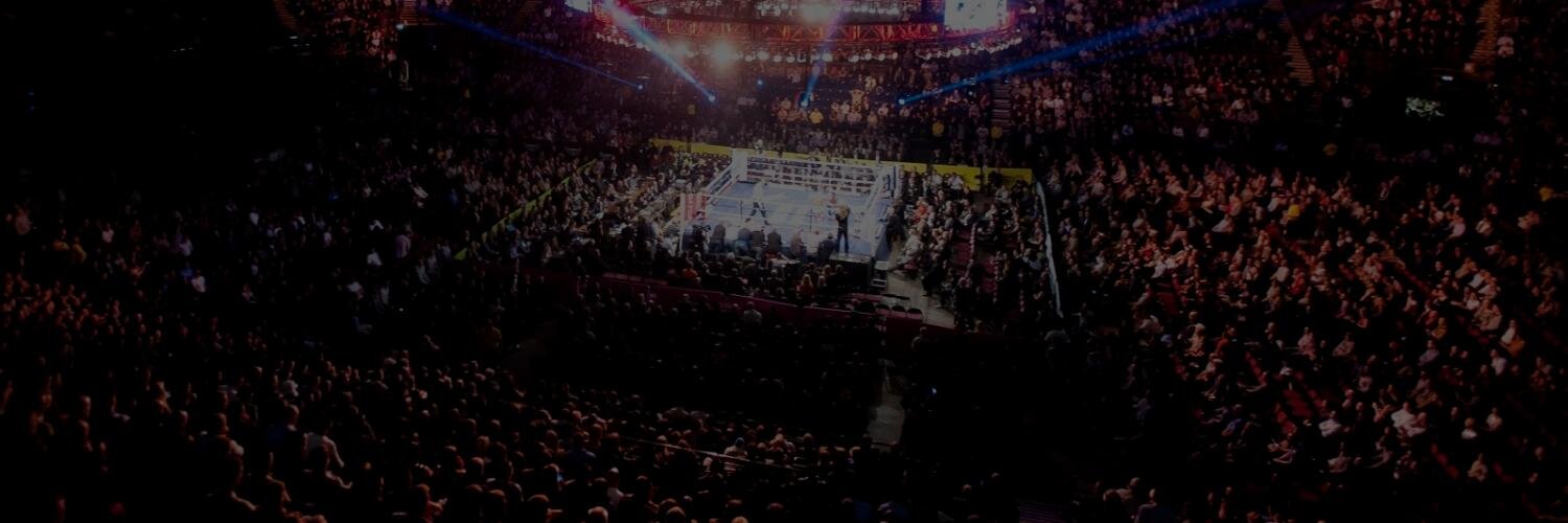 The Boxing Zone banner