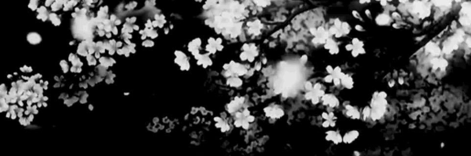 fckkoffc's profile banner image