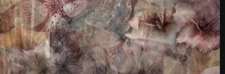 bitchforcalss's profile banner image