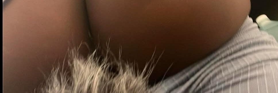 piinxhoney's profile banner image