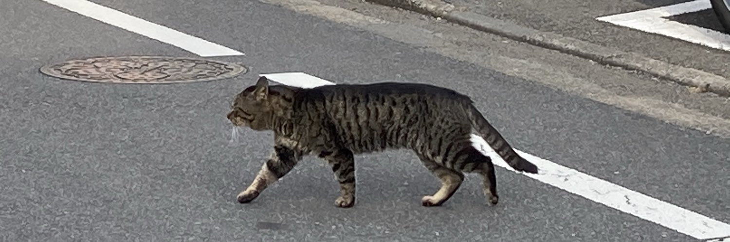 ねこ5匹 banner