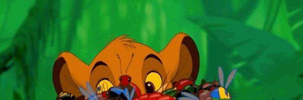 HakunaMatataBug's profile banner image