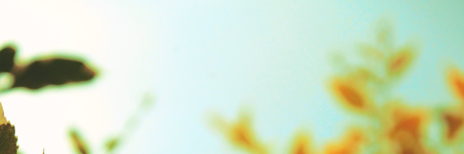 quan_inc's profile banner image