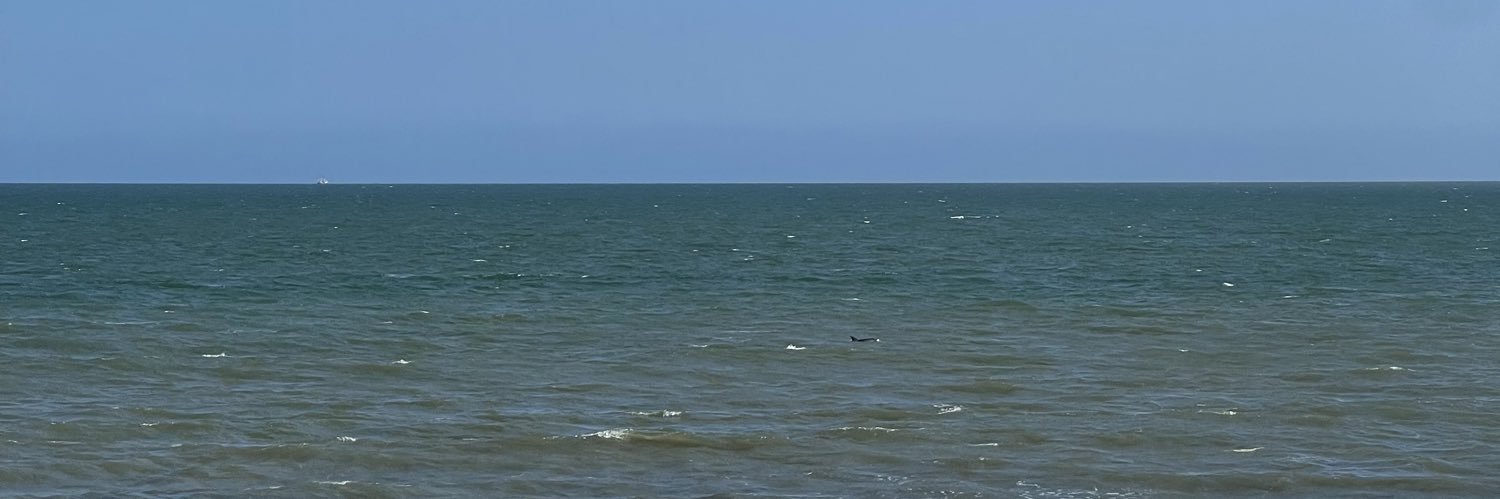 VitaminSea banner