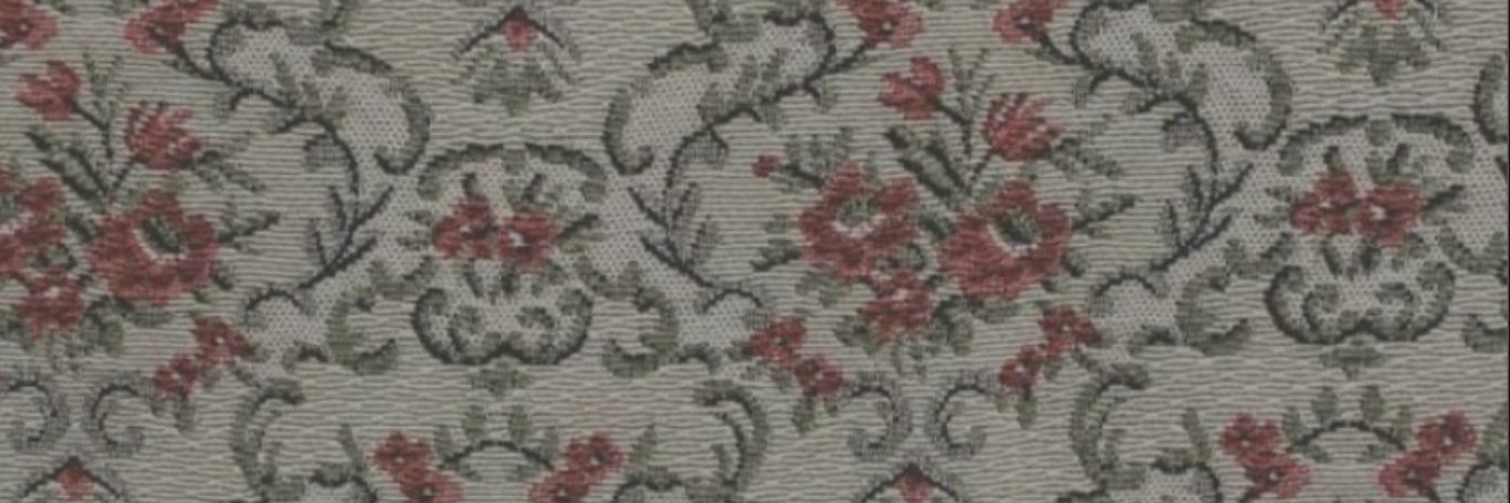 GFACoruche's profile banner image