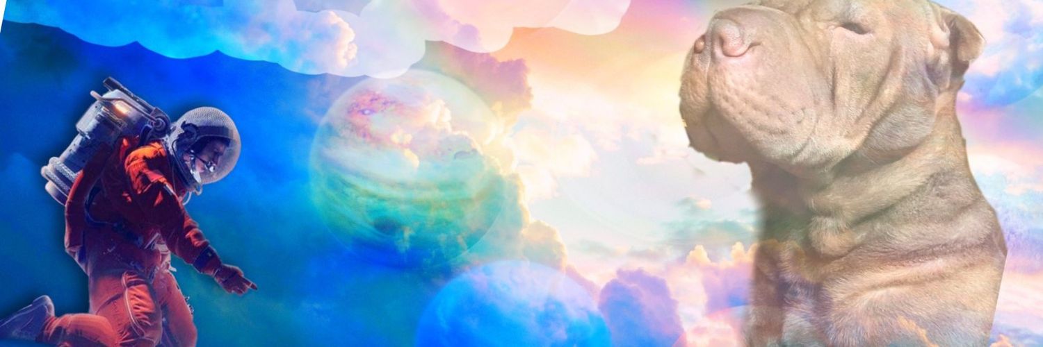DavidRd_'s profile banner image