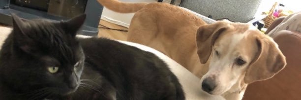 Jonathan Make banner