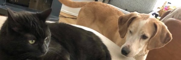 makejdm Profile Banner