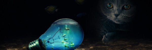 TimeObserving Profile Banner