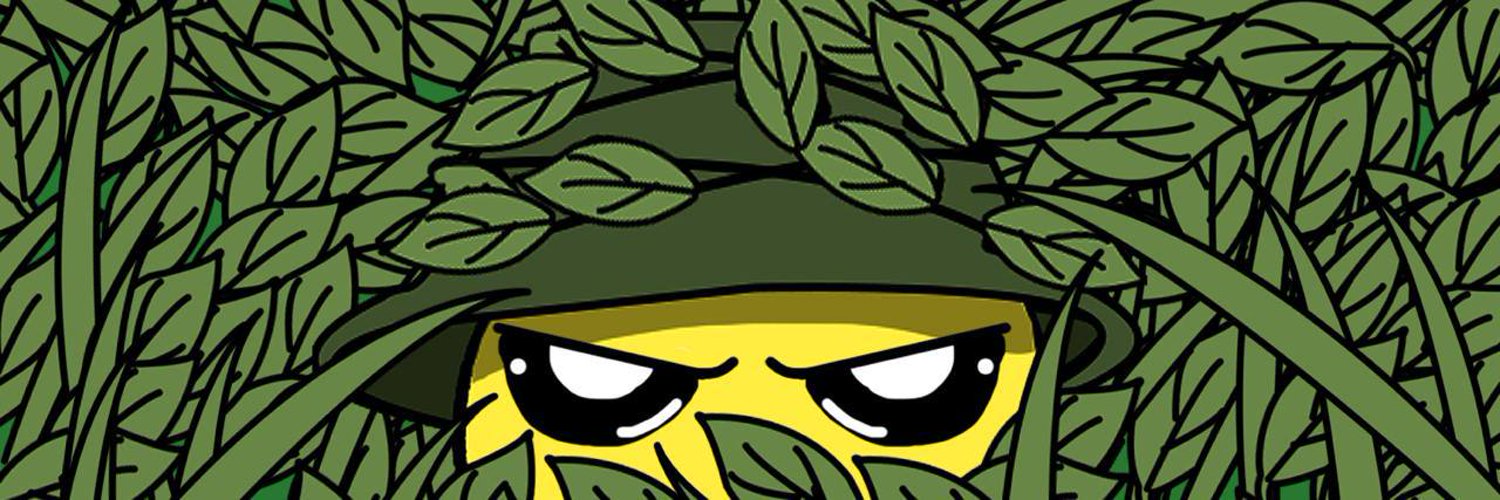 Solja Boy banner
